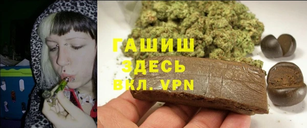 индика Киреевск