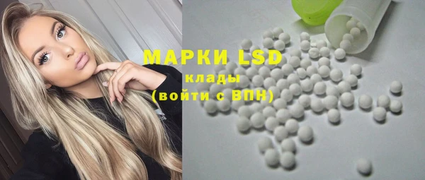индика Киреевск