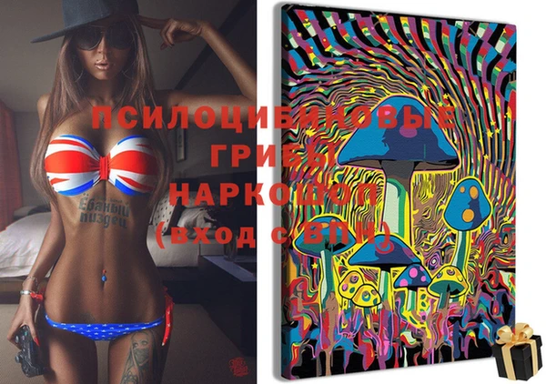 ГАЛЛЮЦИНОГЕННЫЕ ГРИБЫ Кинешма