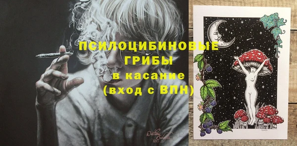 ГАЛЛЮЦИНОГЕННЫЕ ГРИБЫ Кинешма