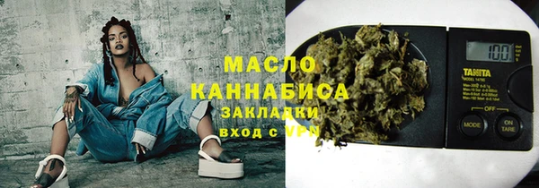 индика Киреевск
