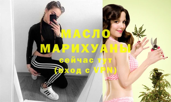 индика Киреевск