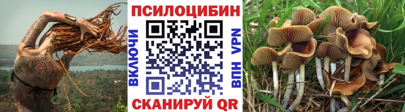 Купить закладки  Печора  Псилоцибиновые грибы Cubensis 